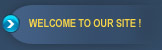 Welcome to our site